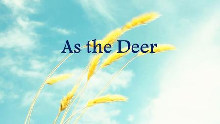 As the Deer. As the deer panteth for the water So my soul longeth after You You alone are my heart's desire And I long to worship You As the Deer: Verse.