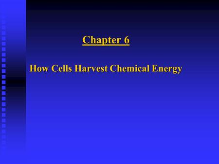 How Cells Harvest Chemical Energy