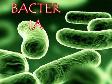 BACTERIA.