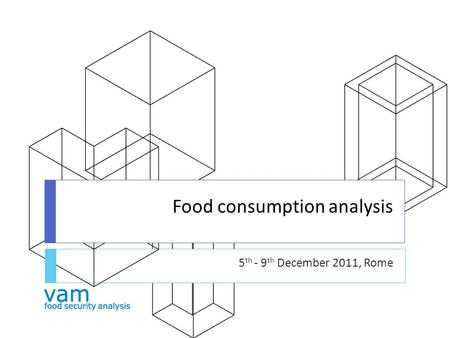 Food consumption analysis 5 th - 9 th December 2011, Rome.