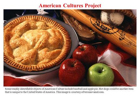 American Cultures Project Some readily identifiable objects of American Culture include baseball and apple pie. Hot dogs could be another item that is.