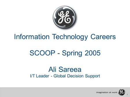 1 Information Technology Careers SCOOP - Spring 2005 Ali Sareea I/T Leader - Global Decision Support.