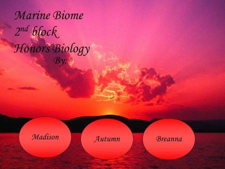 Marine Biome 2 nd block Honors Biology By: Madison AutumnBreanna.