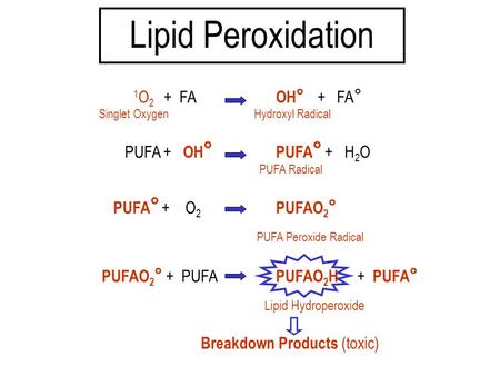 1 O 2 + FA OH ° + FA ° Singlet Oxygen Hydroxyl Radical PUFA + OH ° PUFA ° + H 2 O PUFA Radical PUFA ° + O 2 PUFAO 2 ° PUFA Peroxide Radical PUFAO 2 ° +