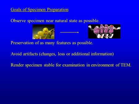 Goals of Specimen Preparation Observe specimen near natural state as possible. Preservation of as many features as possible. Avoid artifacts (changes,