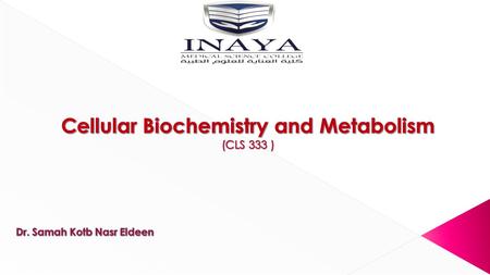  CONDITIONS: T = 30 °C, pH = 6.8, A = 340 nm, Light path = 1 cm  METHOD: Continuous Spectrophotometric Rate Determination.