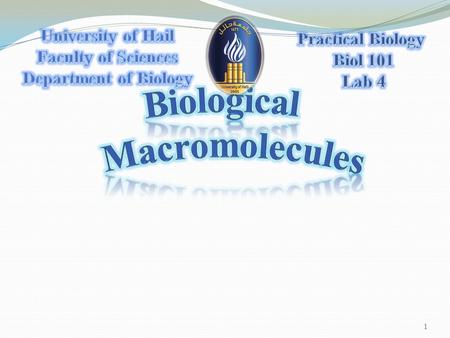 1. All living organisms are composed of four classes of macromolecules:  Carbohydrates  Lipids  Proteins  Nucleic acid 2.