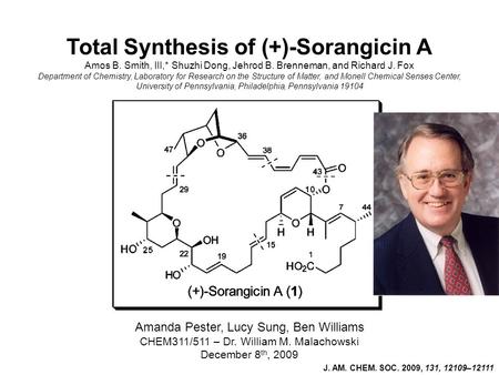 Total Synthesis of (+)-Sorangicin A