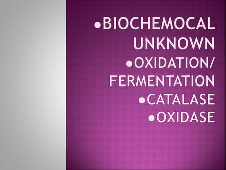 ●BIOCHEMOCAL UNKNOWN ●OXIDATION/ FERMENTATION ●CATALASE ●oXIDASE