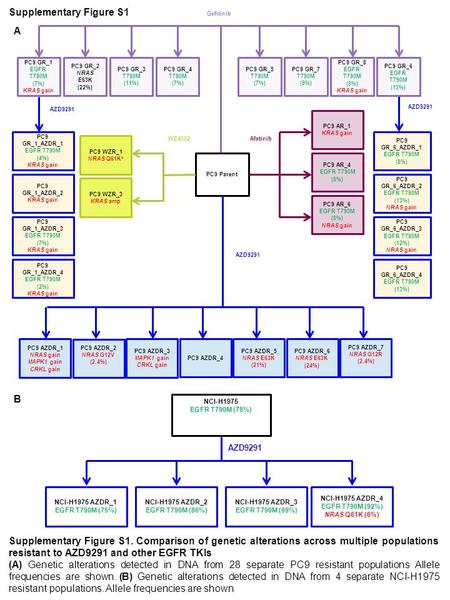 Supplementary Figure S1