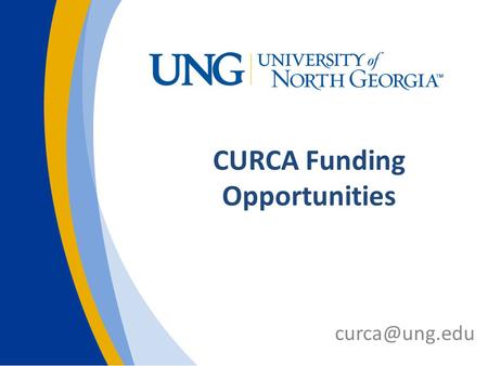 CURCA Funding Opportunities CURCA Supports UR and Creative initiatives across all campuses Workshops & information CURCA Ambassadors CURCA.