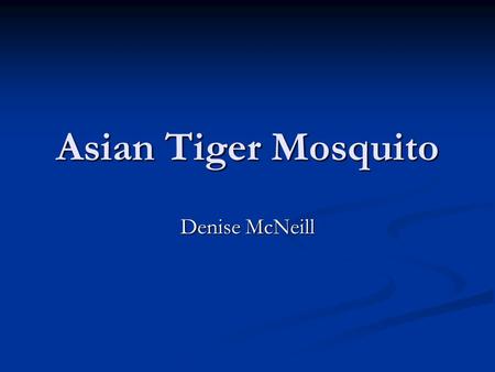 Asian Tiger Mosquito Denise McNeill. Asian Tiger Mosquito Asian Tiger Mosquito What is a Asian Tiger Mosquito? What is a Asian Tiger Mosquito? What is.