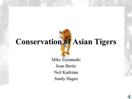 Conservation of Asian Tigers