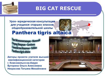 BIG CAT RESCUE Урок- юридическая консультация для учащихся старших классов общеобразовательной школы 2010 год Авторы проекта: учителя высшей квалификационной.