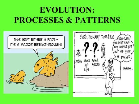 EVOLUTION: PROCESSES & PATTERNS