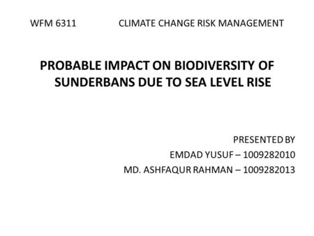 WFM 6311 CLIMATE CHANGE RISK MANAGEMENT PROBABLE IMPACT ON BIODIVERSITY OF SUNDERBANS DUE TO SEA LEVEL RISE PRESENTED BY EMDAD YUSUF – 1009282010 MD. ASHFAQUR.