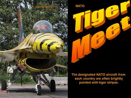 The designated NATO aircraft from each country are often brightly painted with tiger stripes. NATO NetherlandsF16.