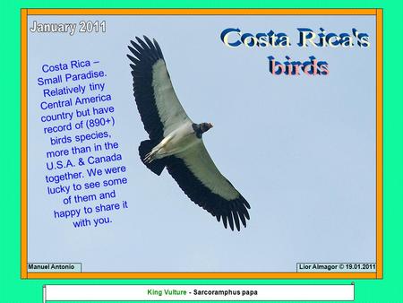 Costa Rica – Small Paradise. Relatively tiny Central America country but have record of (890+) birds species, more than in the U.S.A. & Canada together.