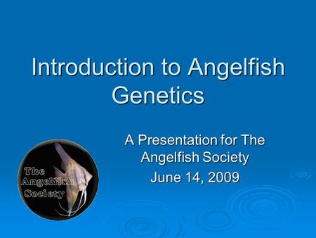 Introduction to Angelfish Genetics