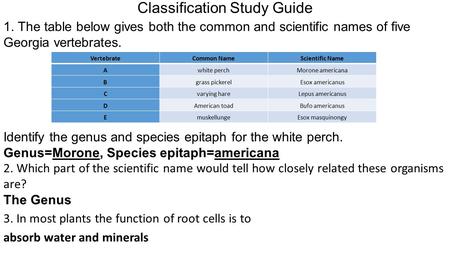 Classification Study Guide 1. The table below gives both the common and scientific names of five Georgia vertebrates. Identify the genus and species epitaph.