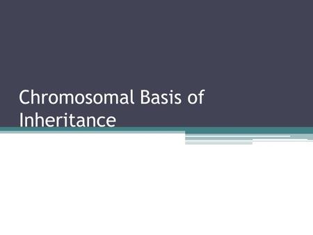 Chromosomal Basis of Inheritance