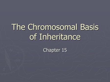 The Chromosomal Basis of Inheritance