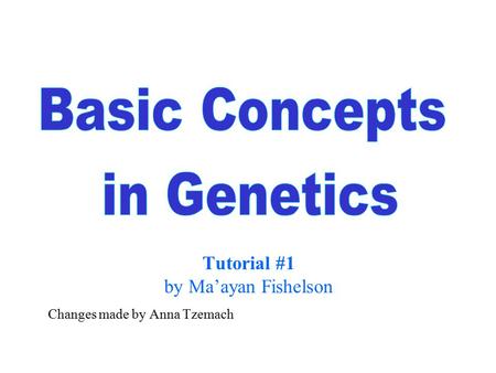 Tutorial #1 by Ma’ayan Fishelson Changes made by Anna Tzemach.