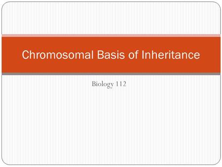 Chromosomal Basis of Inheritance