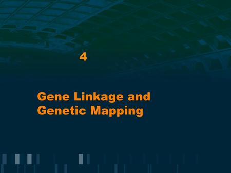 Gene Linkage and Genetic Mapping