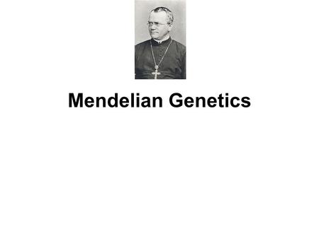 Mendelian Genetics.