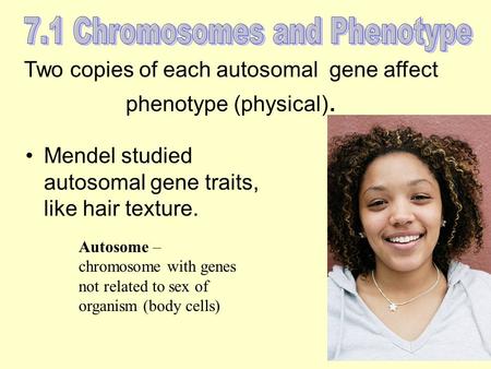 7.1 Chromosomes and Phenotype