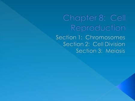 Chapter 8: Cell Reproduction