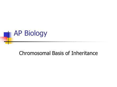 Chromosomal Basis of Inheritance