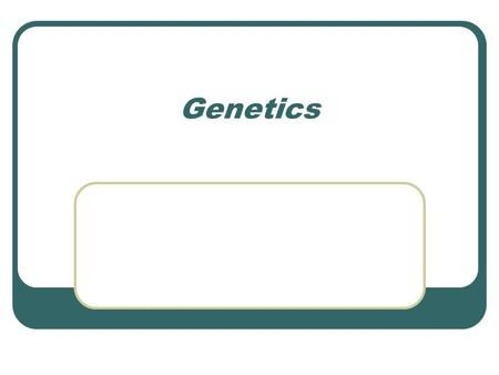 Genetics. Genetics of Drosophila Why study Drosophila?