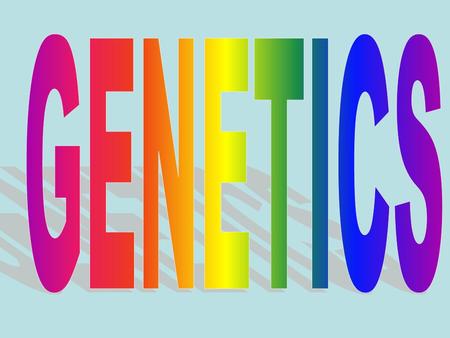 GREGOR MENDEL Austrian monk Studied at the University of Vienna Discovered the basic principles of heredity Worked with breeding garden peas –Self pollinating.