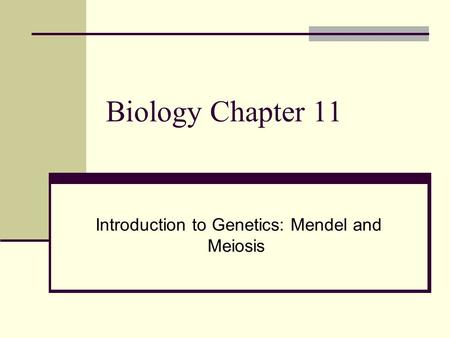 Introduction to Genetics: Mendel and Meiosis