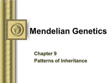 Chapter 9 Patterns of Inheritance