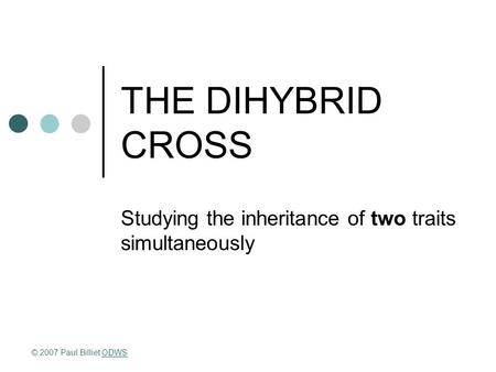 THE DIHYBRID CROSS Studying the inheritance of two traits simultaneously © 2007 Paul Billiet ODWSODWS.