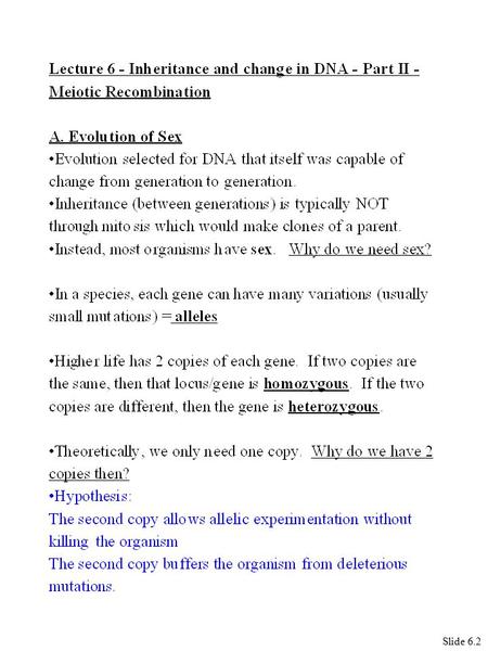 Slide 6.2. Slide 6.3 Dominance and recessiveness - both alleles may encode proteins; example - eye colour -the gene that encodes the protein that does.