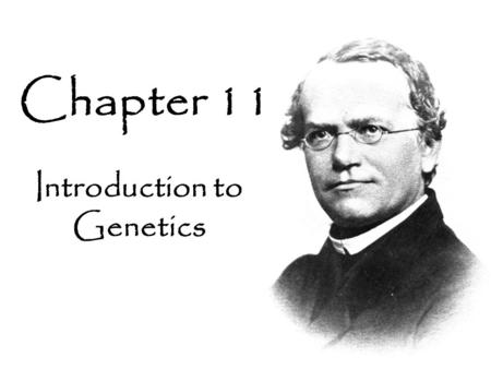 Introduction to Genetics