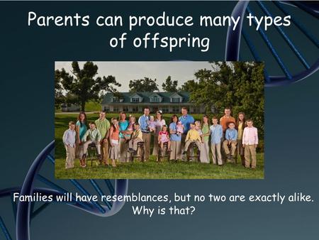 Parents can produce many types of offspring