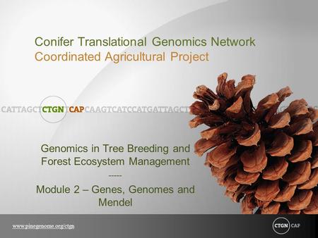 Genomics in Tree Breeding and Forest Ecosystem Management