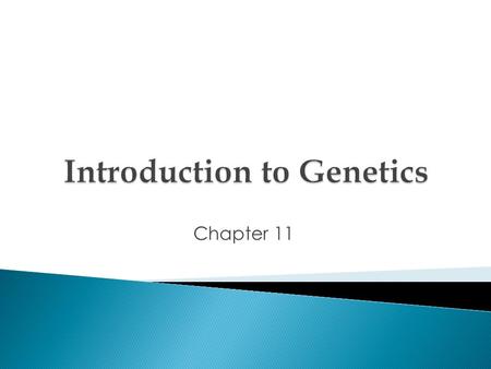 Introduction to Genetics