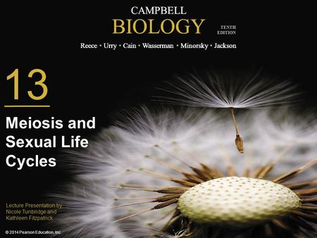 Meiosis and Sexual Life Cycles