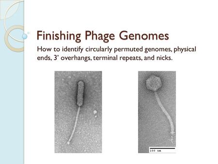 Finishing Phage Genomes How to identify circularly permuted genomes, physical ends, 3’ overhangs, terminal repeats, and nicks.