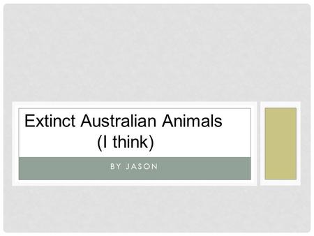 Extinct Australian Animals (I think)