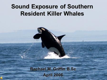 Sound Exposure of Southern Resident Killer Whales Rachael M. Griffin B.Sc April 2006.