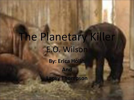 The Planetary Killer E.O. Wilson By: Erica Hollis And Lacey Thompson.