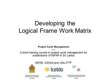 Developing the Logical Frame Work Matrix