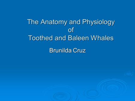 The Anatomy and Physiology of Toothed and Baleen Whales Brunilda Cruz.